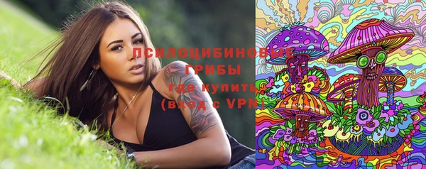 сатива Нягань