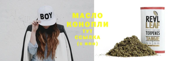 apvp Няндома