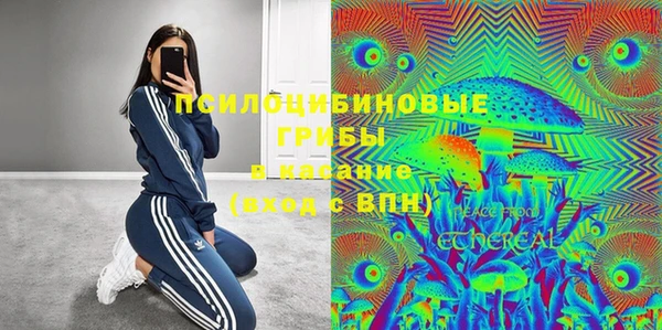 сатива Нягань