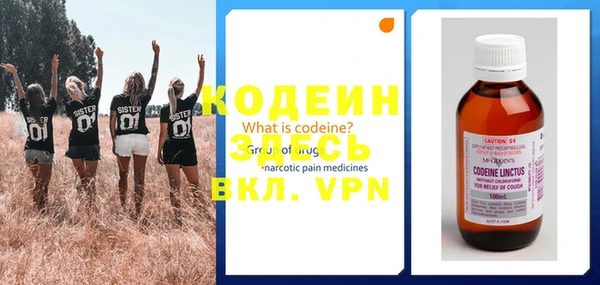 apvp Няндома