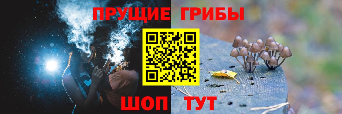 Дербент  Псилоцибиновые грибы Psilocybe  Галлюциногенные грибы Psilocybe  Вход с VPN 